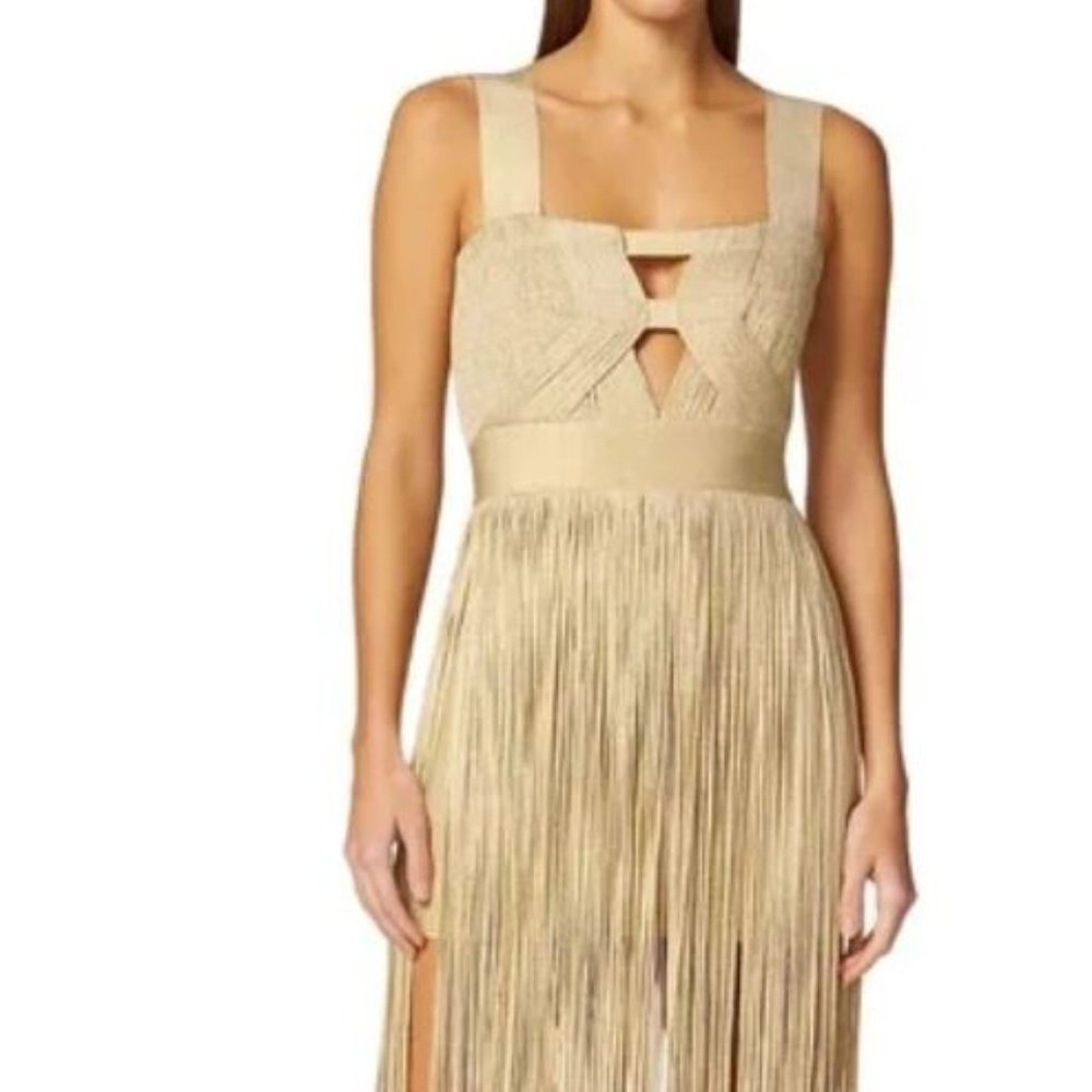 Herve Leger Beige Fringe Dress